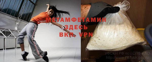 индика Аркадак