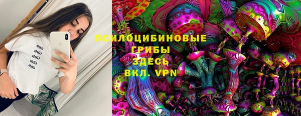 тгк Бикин
