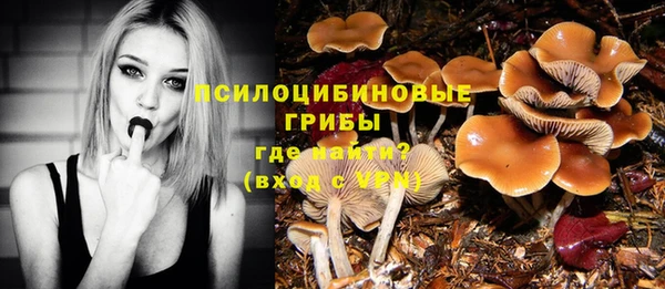 индика Аркадак