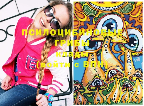 МДПВ Беслан