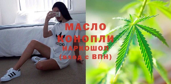 индика Аркадак