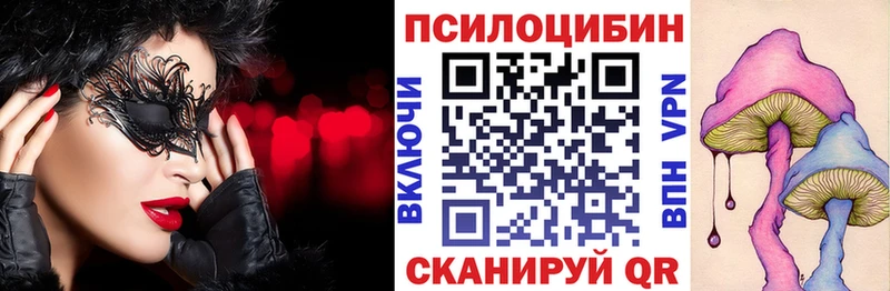 Галлюциногенные грибы Psilocybine cubensis  Заинск 