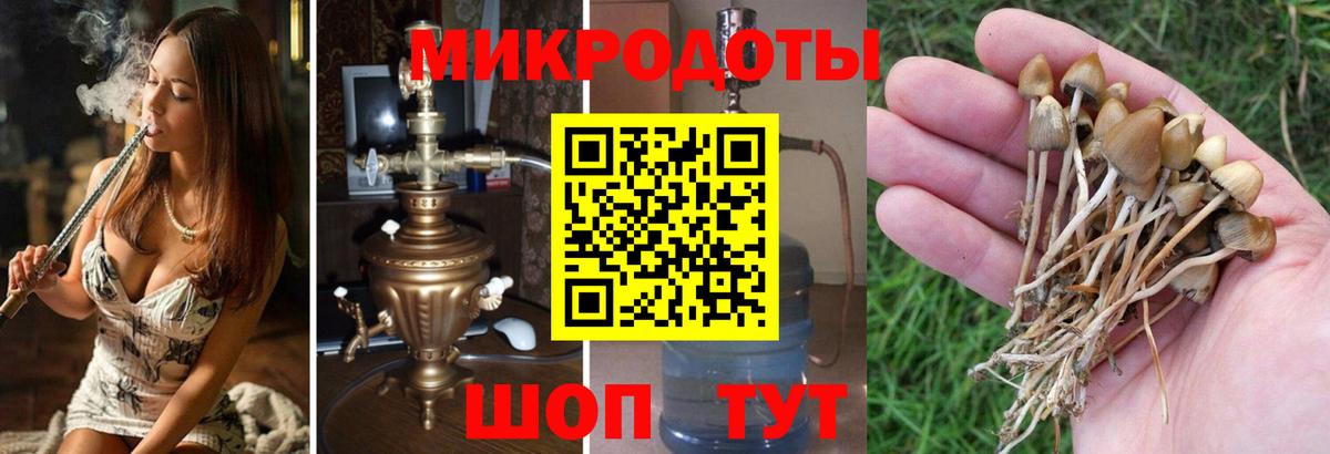 Псилоцибиновые грибы Cubensis  Галлюциногенные грибы Magic Shrooms  как найти наркотики  Вход с VPN  Заинск 